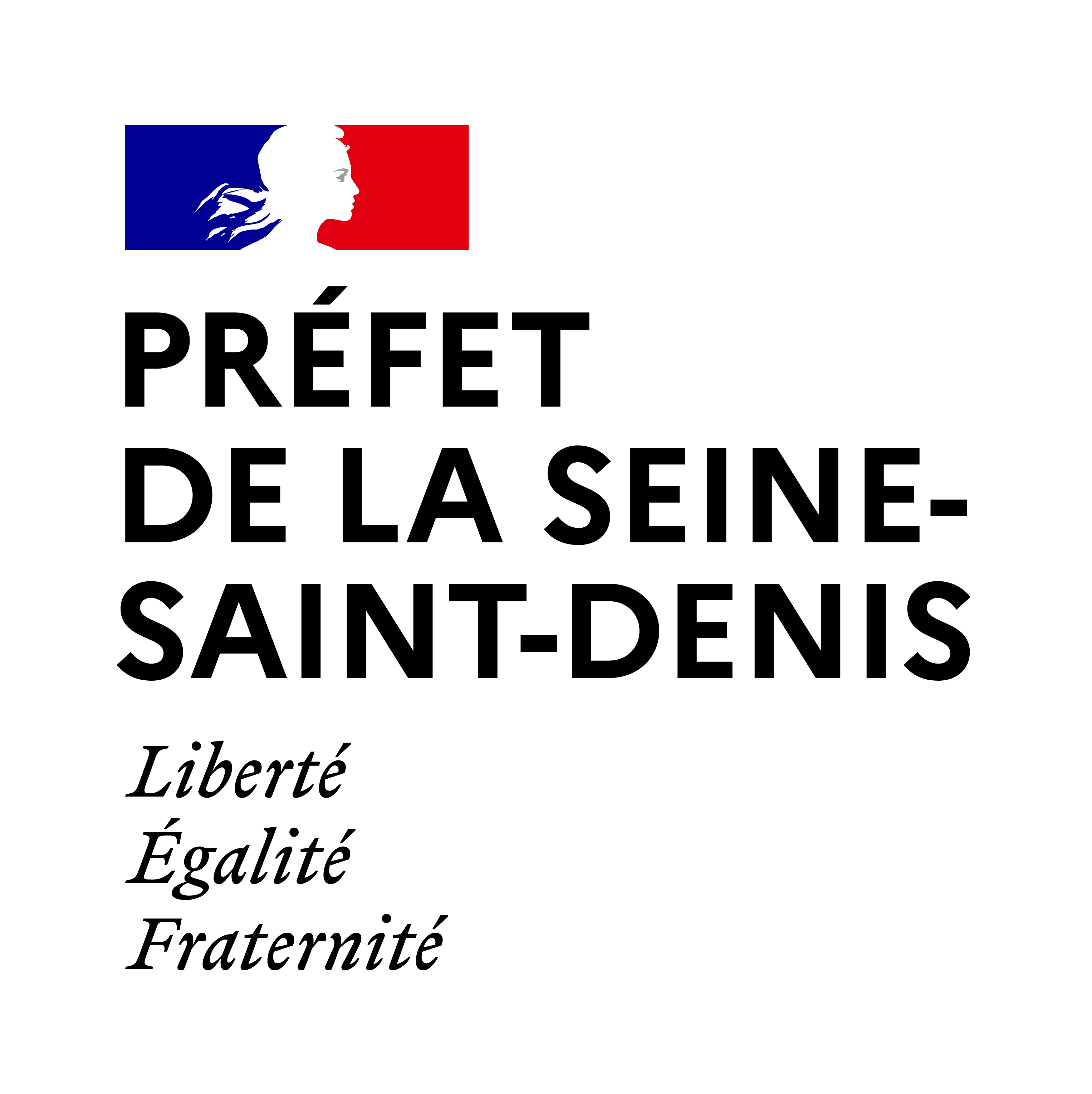 PREF_Seine_Saint_Denis_RVB.jpg (458 KB)